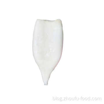 Wholesale Todarodes/illex Frozen Squid Tube